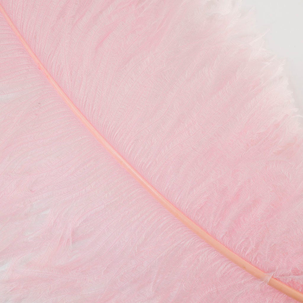 Large Ostrich Feathers - 24-30" Prime Femina Plumes - Candy Pink