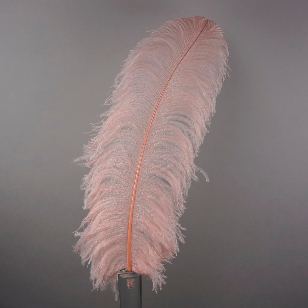 Large Ostrich Feathers - 24-30" Prime Femina Plumes - Champagne