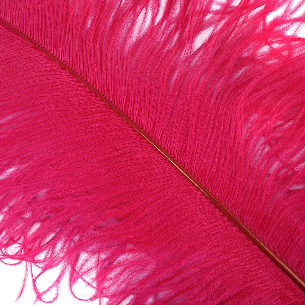 Large Ostrich Feathers - 20-25" Prime Femina Plumes - Shocking Pink