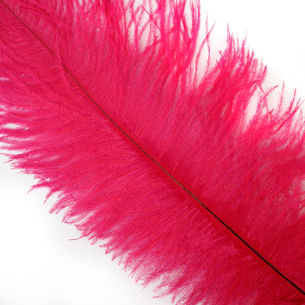 Large Ostrich Feathers - 18-24" Spads - Shocking Pink