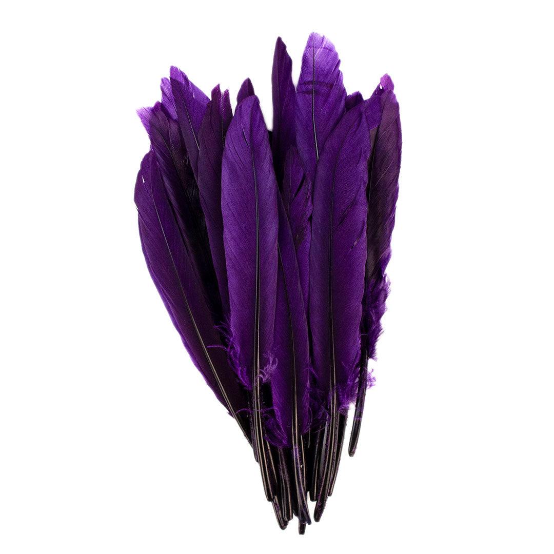 Duck Cosse Feathers - 3 - 6"-Purple