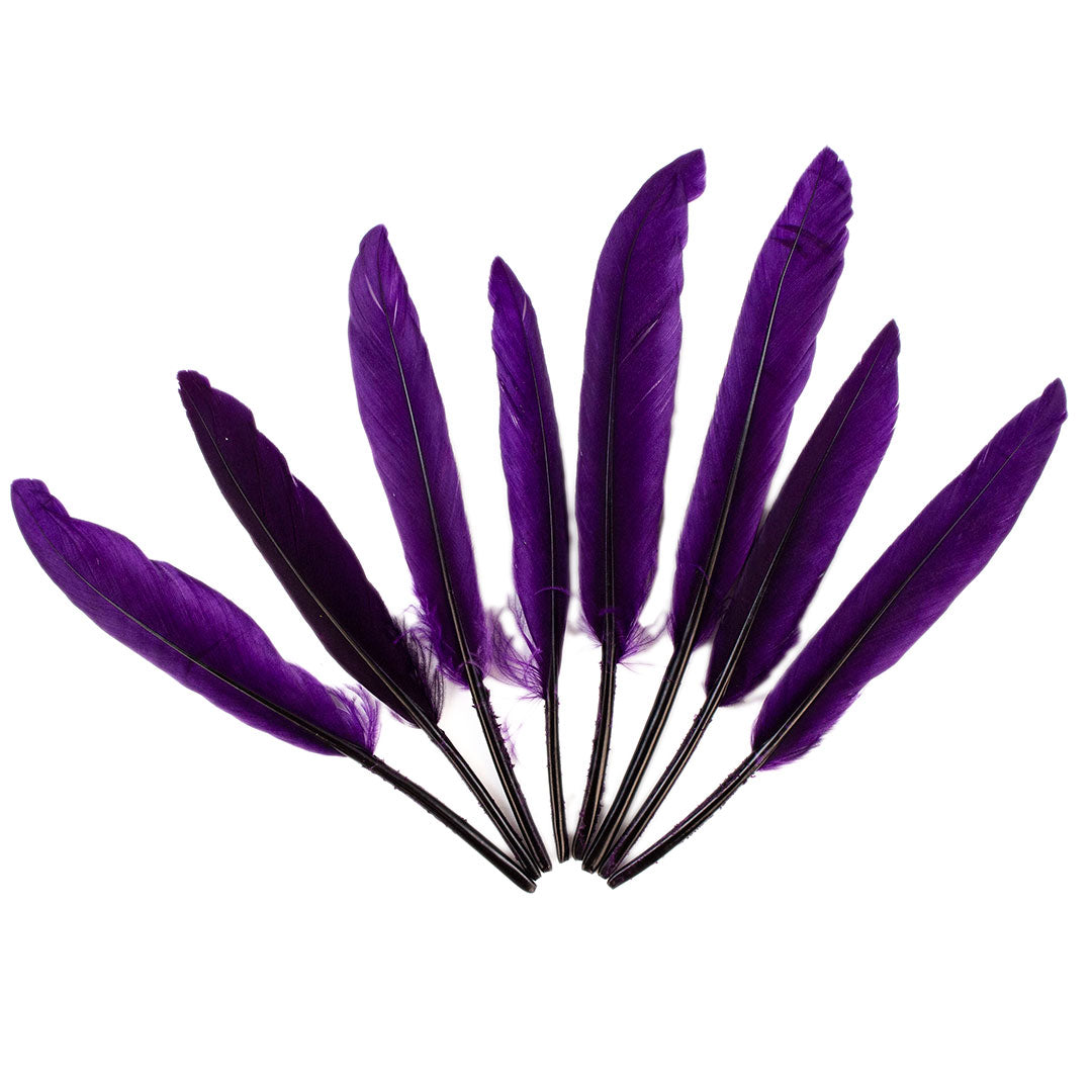 Duck Cosse Feathers - 3 - 6"-Purple