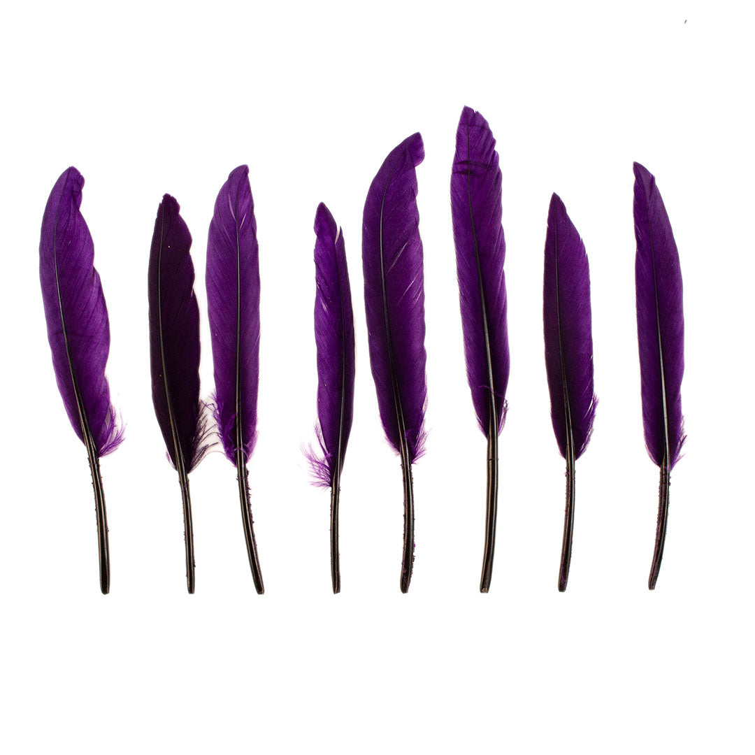 Duck Cosse Feathers - 3 - 6"-Purple