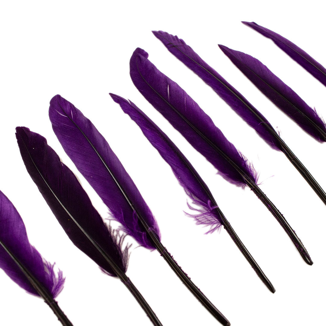 Duck Cosse Feathers - 3 - 6"-Purple