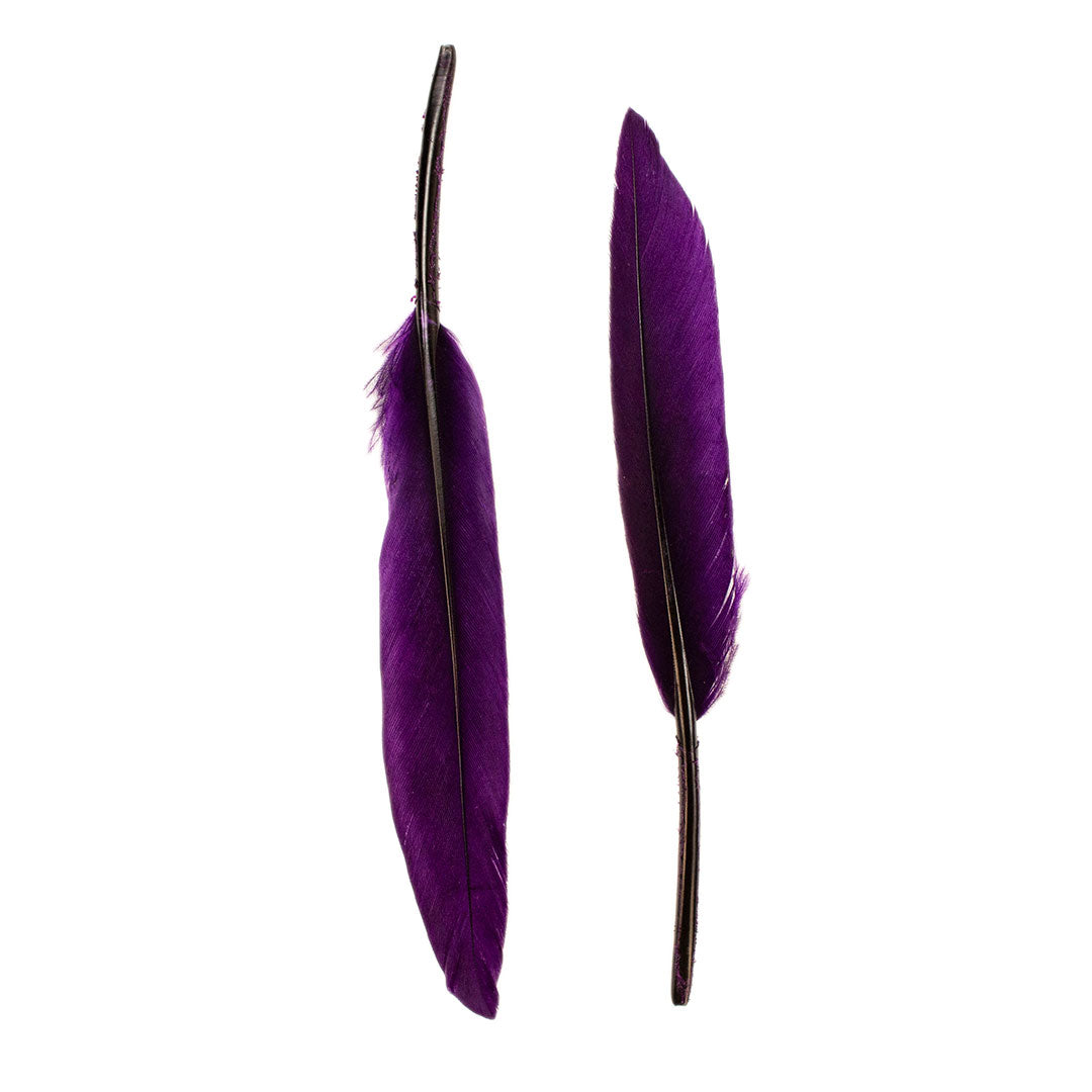 Duck Cosse Feathers - 3 - 6"-Purple