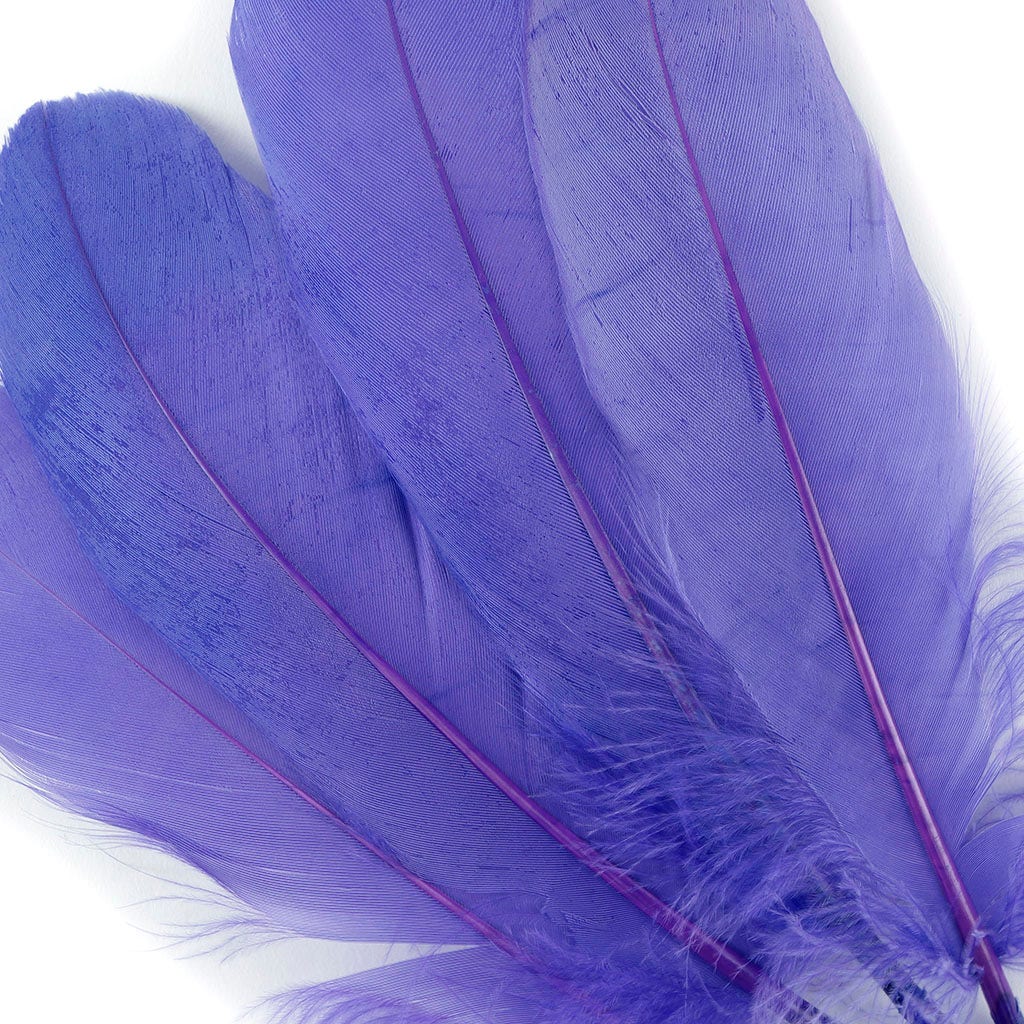 Bulk Bulk Goose Pallet Feathers 6-8 Inch - 1/4 LB - Lavender