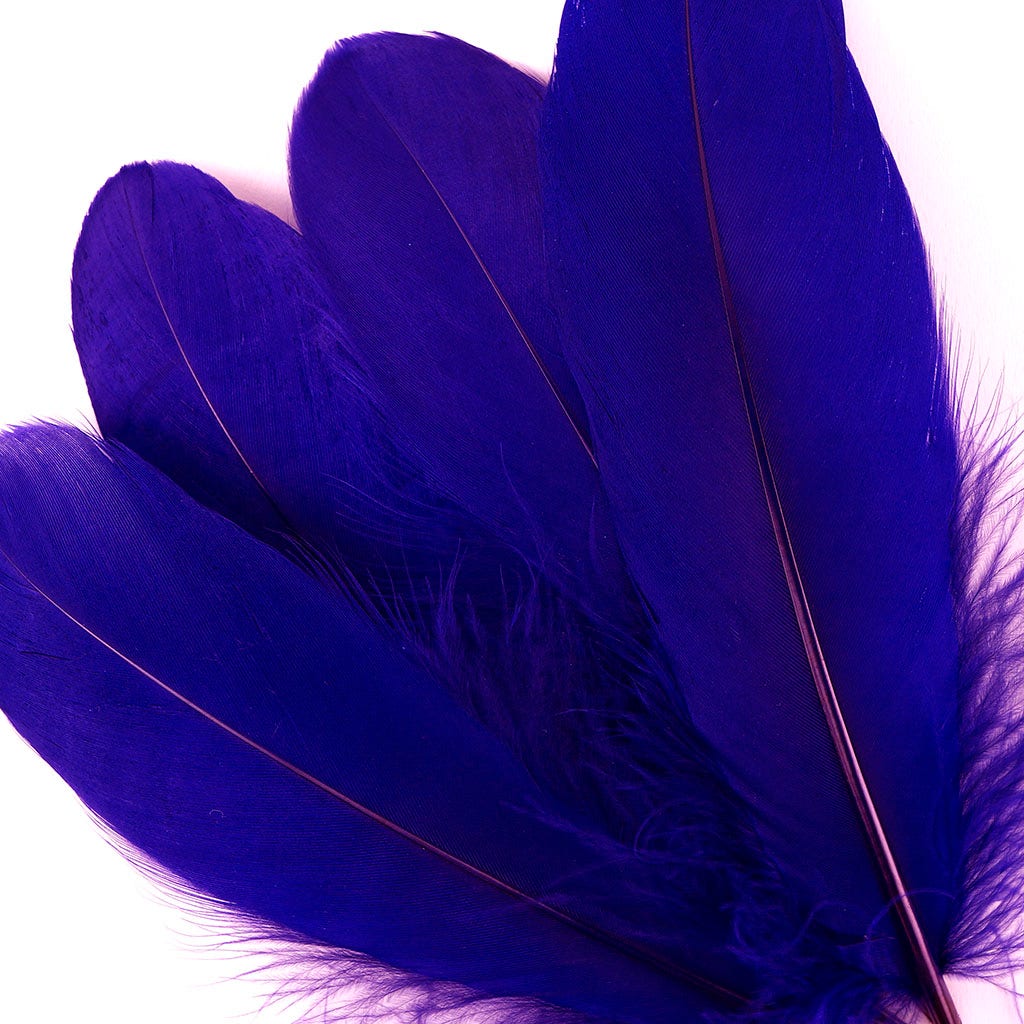 Bulk Bulk Goose Pallet Feathers 6-8 Inch - 1/4 LB - Regal