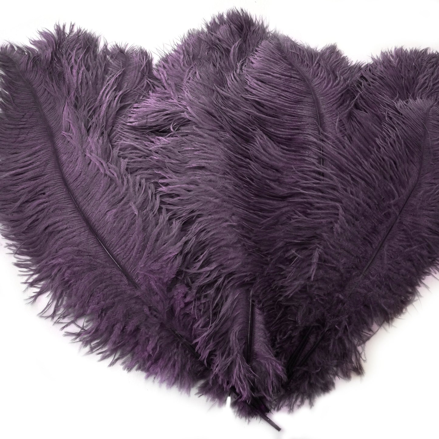 Large Ostrich Feathers - 17"+ Drabs - Amethyst