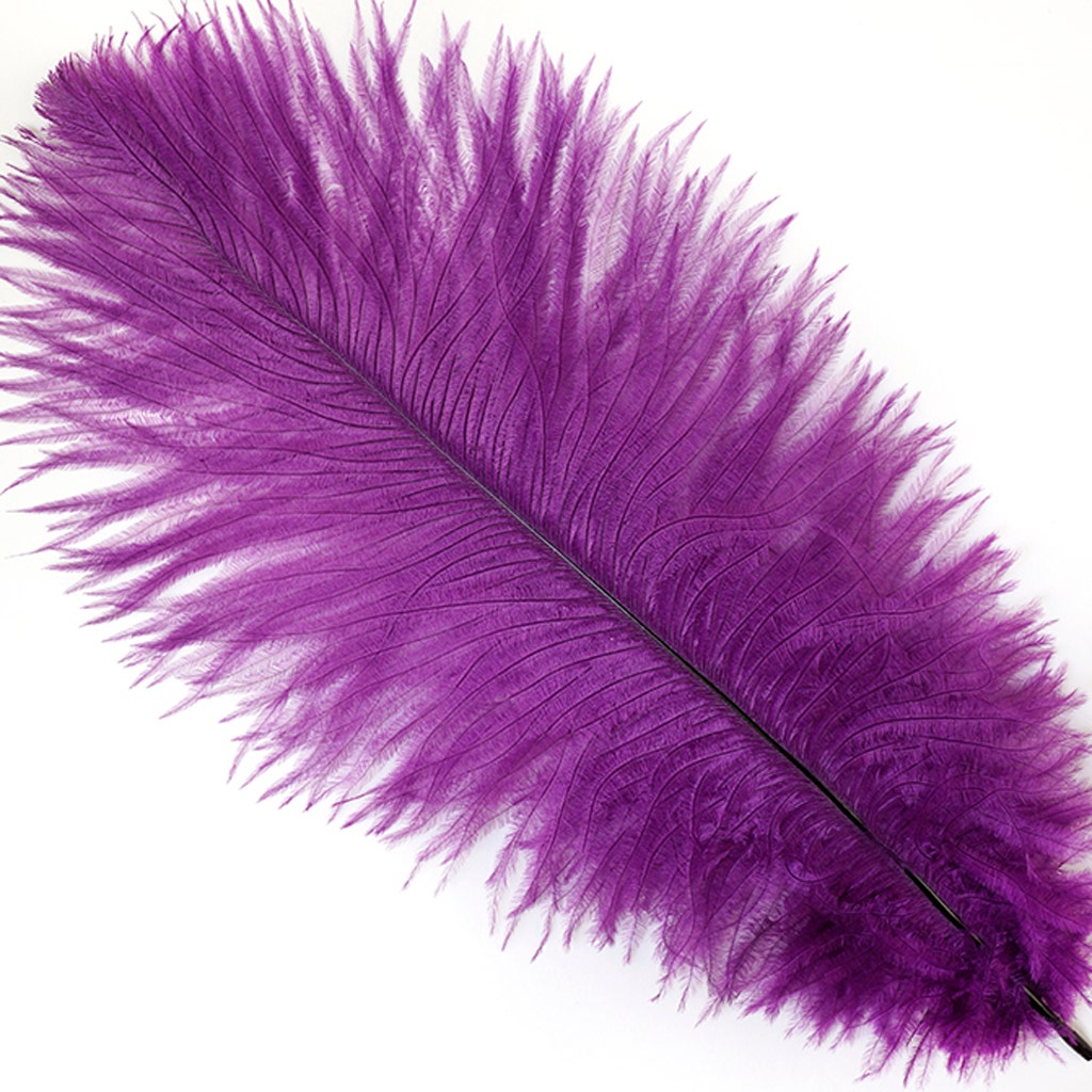 Ostrich Feathers 9-12" Drabs -  Purple