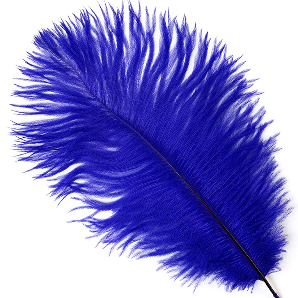 Ostrich Feathers 9-12" Drabs - Regal