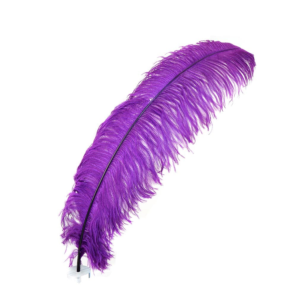 Large Ostrich Feathers - 24-30 Prime Femina Plumes - Purple –   by Zucker Feather Products, Inc.