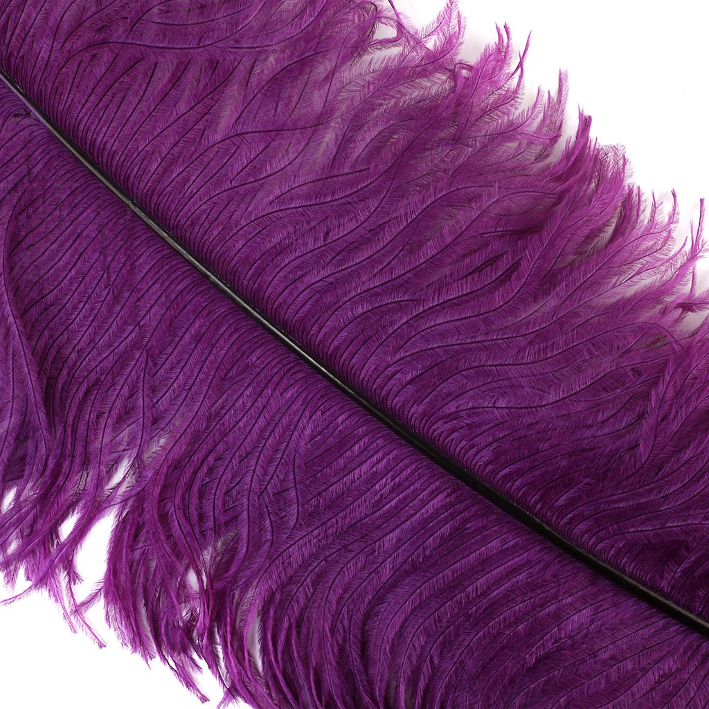 Large Ostrich Feathers - 20-25" Prime Femina Plumes - Purple