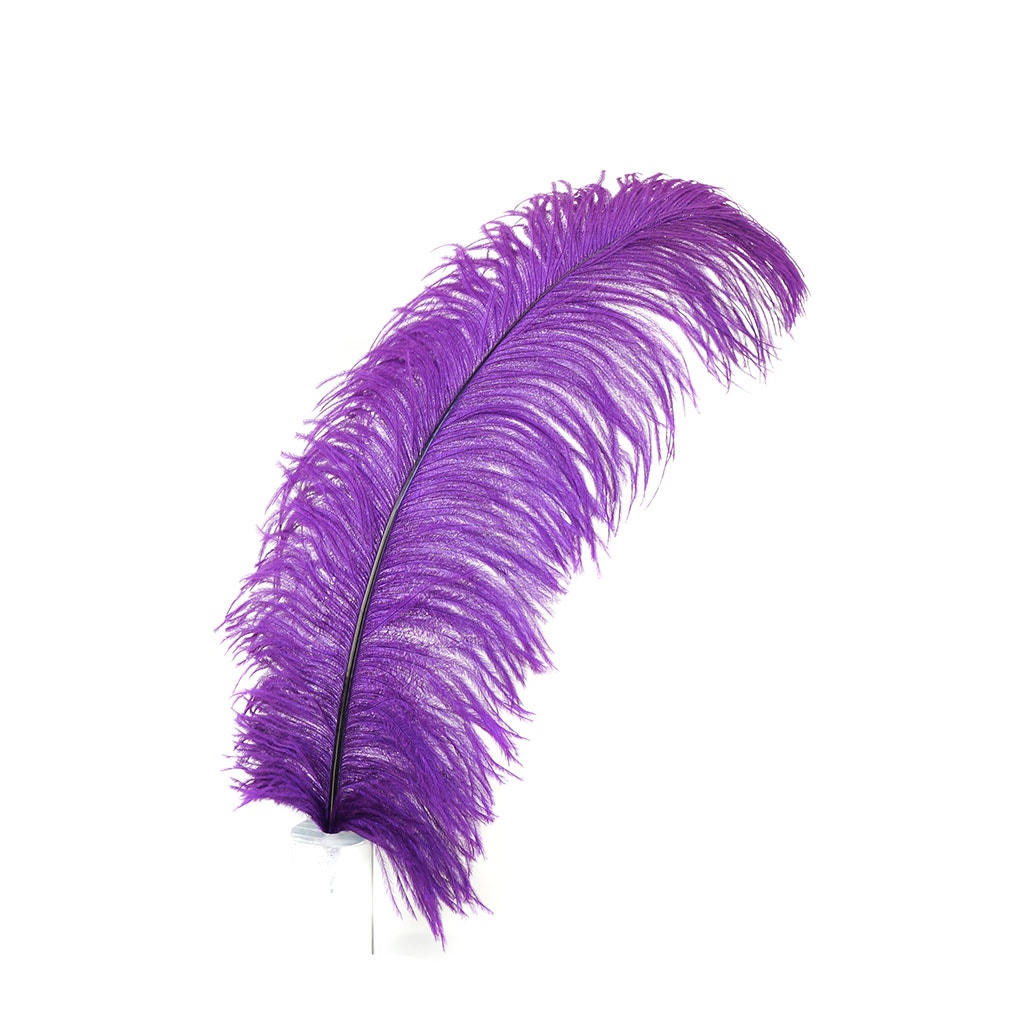 Large Ostrich Feathers - 20-25 Prime Femina Plumes - Shocking