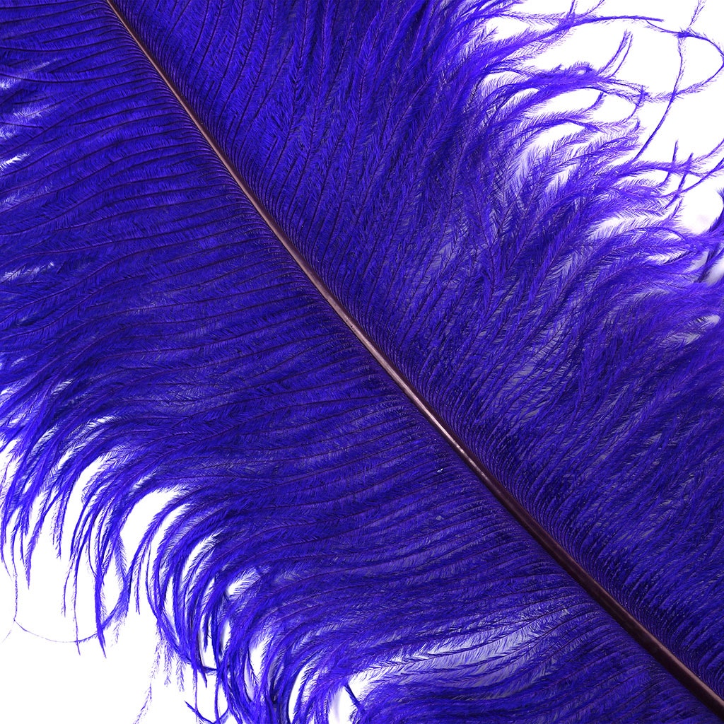Large Ostrich Feathers - 20-25" Prime Femina Plumes - Regal
