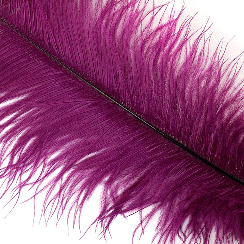 Large Ostrich Feathers - 18-24" Spads - Purple