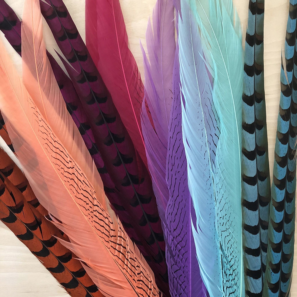 Silver Pheasant Tail Feathers Dyed Lavender
