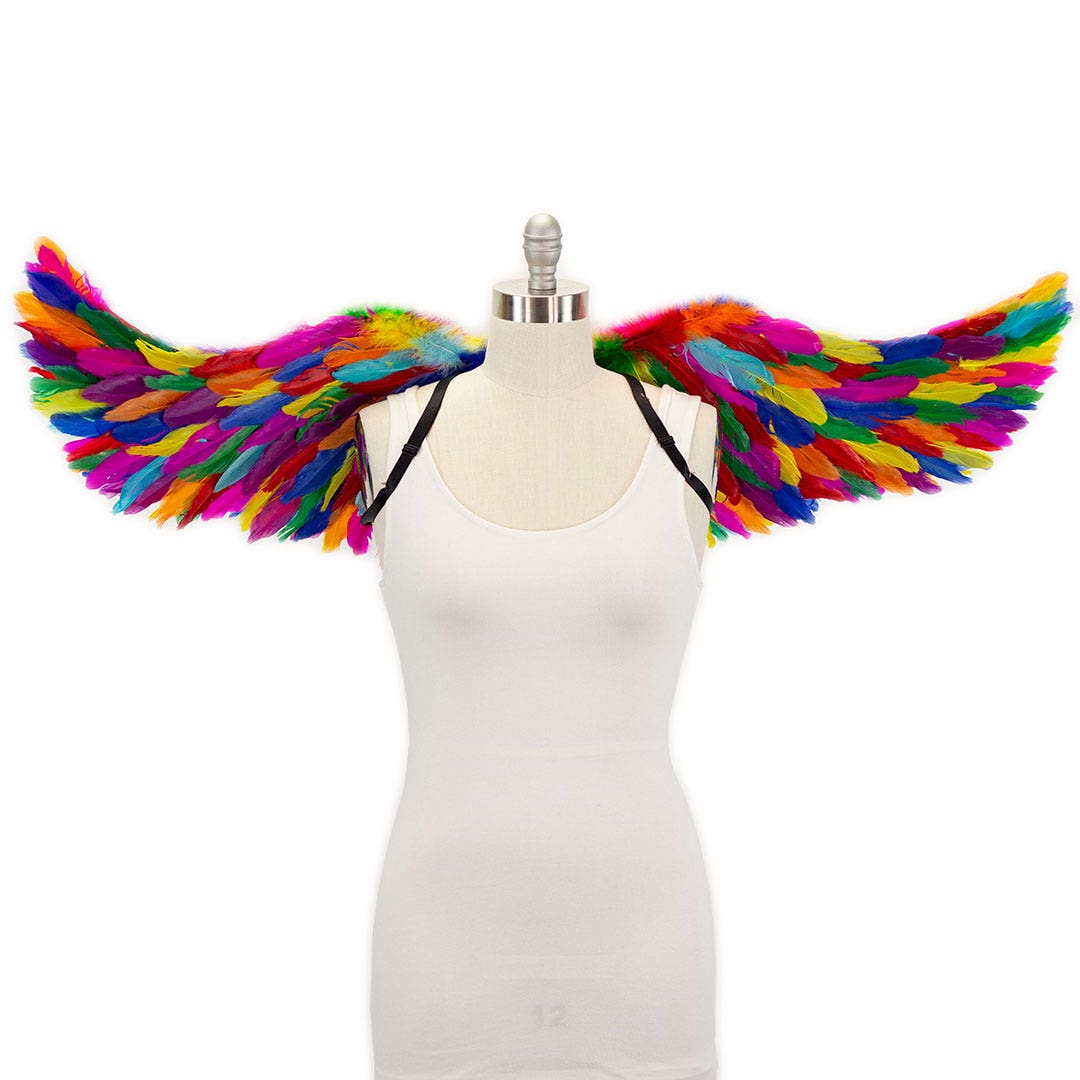 Bright Rainbow Fairy Wings