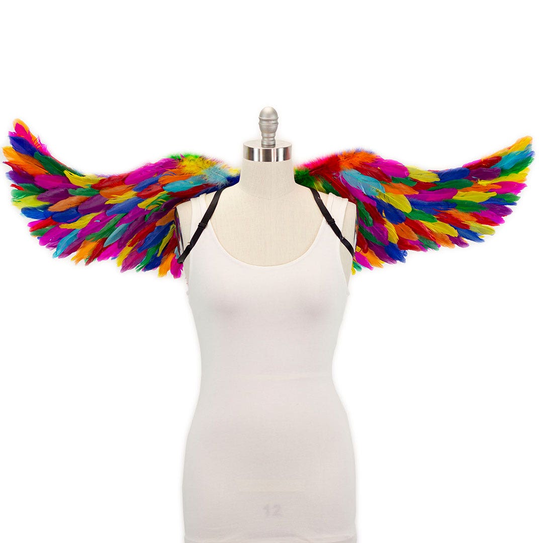 Bright Rainbow Fairy Wings