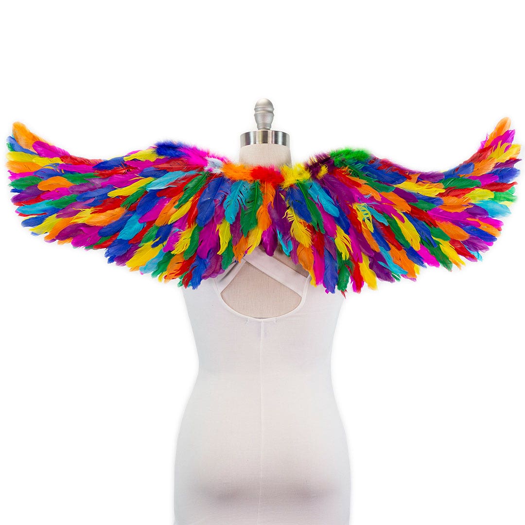 Bright Rainbow Fairy Wings