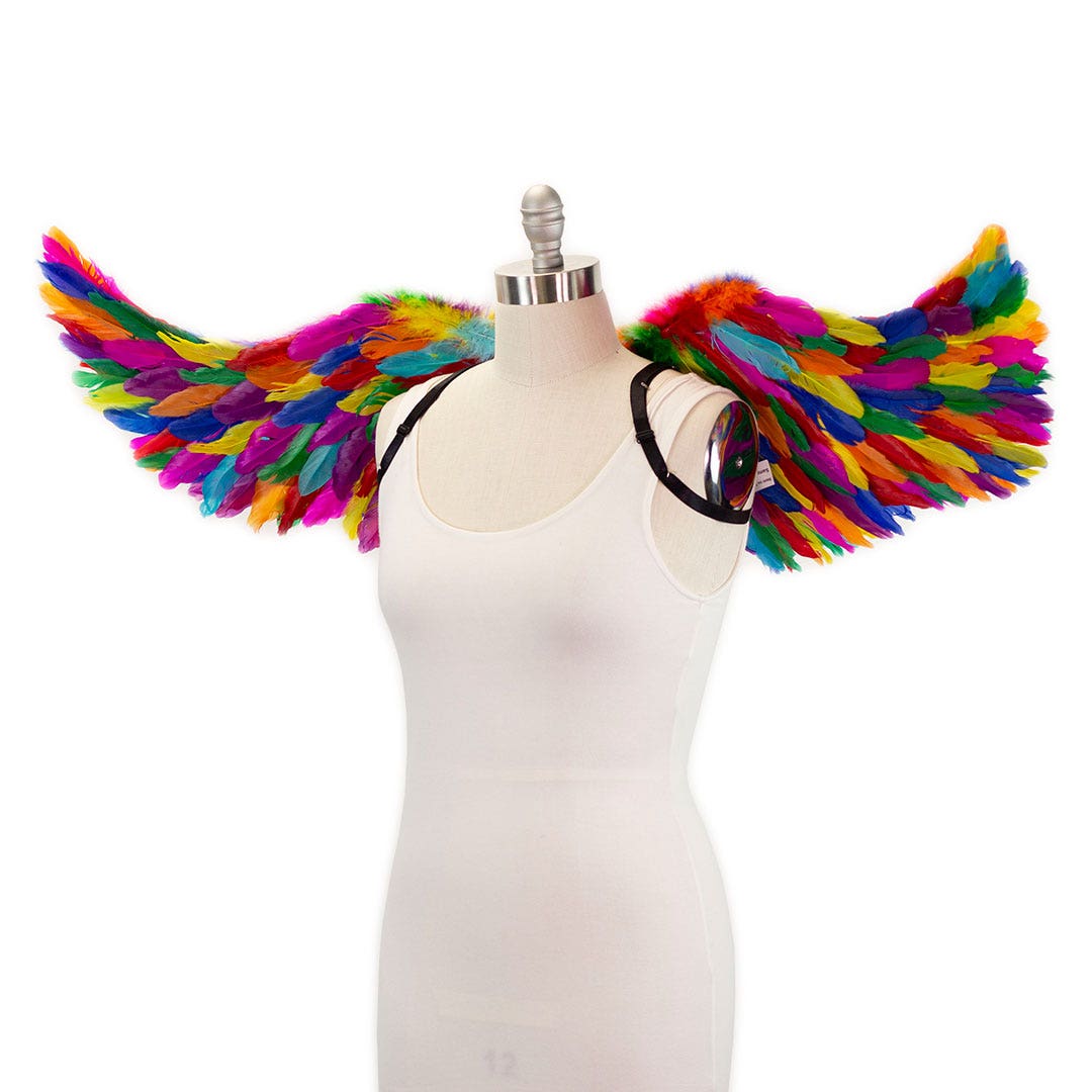 Bright Rainbow Fairy Wings