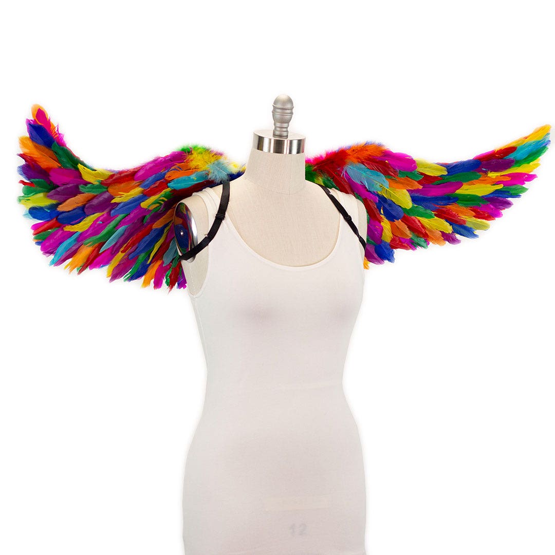 Bright Rainbow Fairy Wings