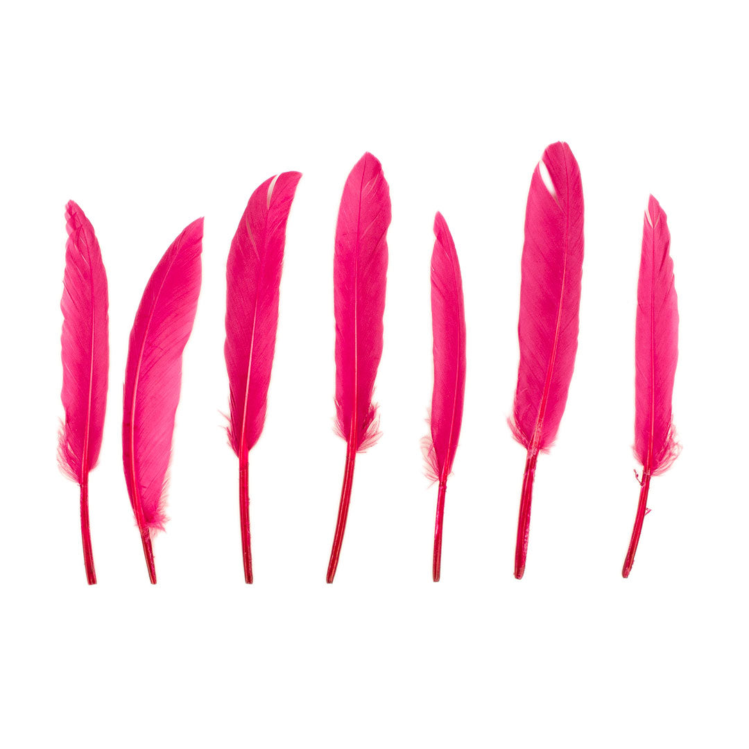 Duck Cosse Feathers - 3 - 6"-Raspberry