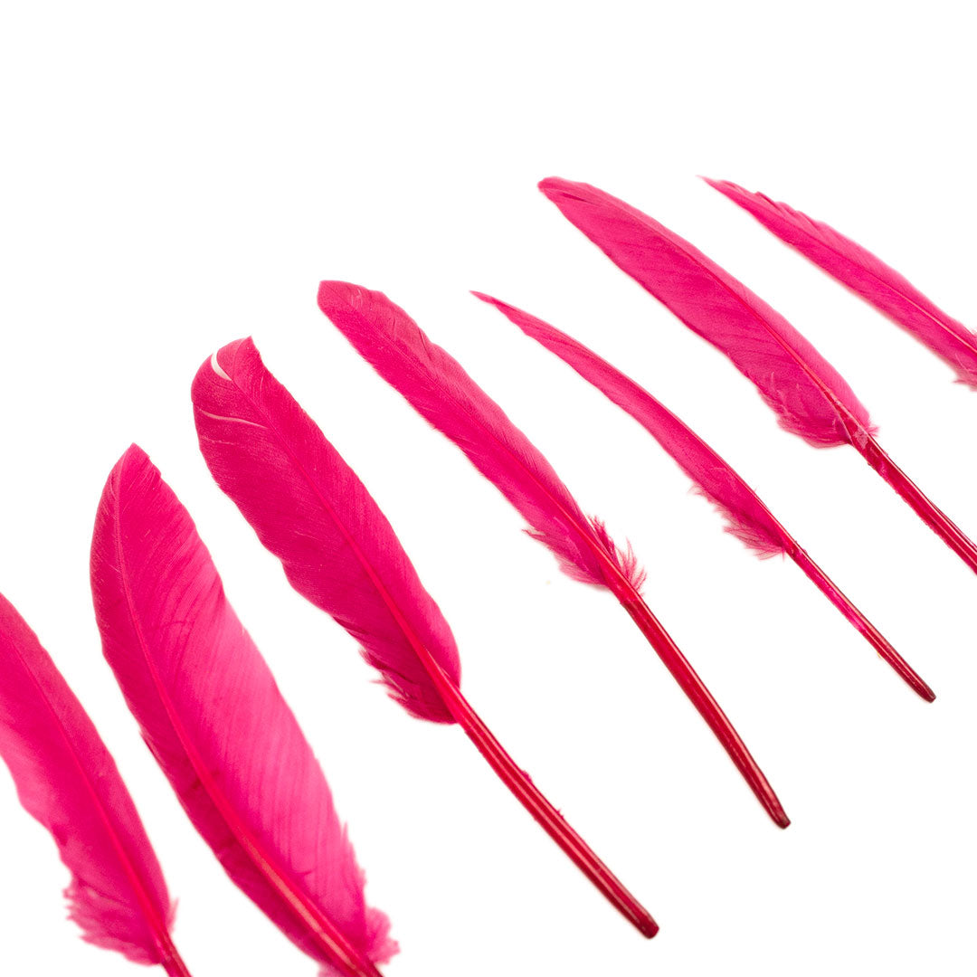 Duck Cosse Feathers - 3 - 6"-Raspberry