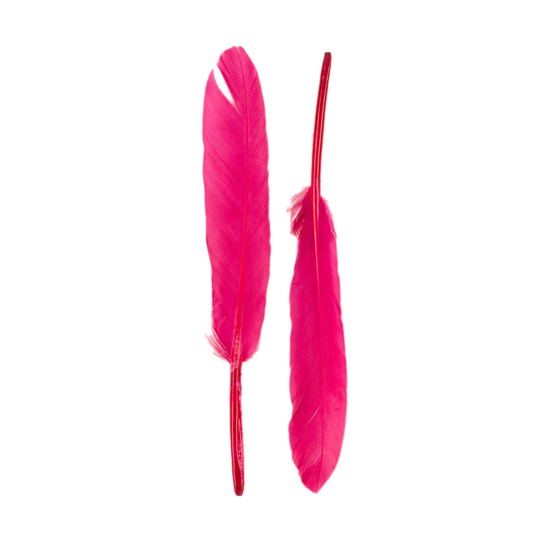 Duck Cosse Feathers - 3 - 6"-Raspberry