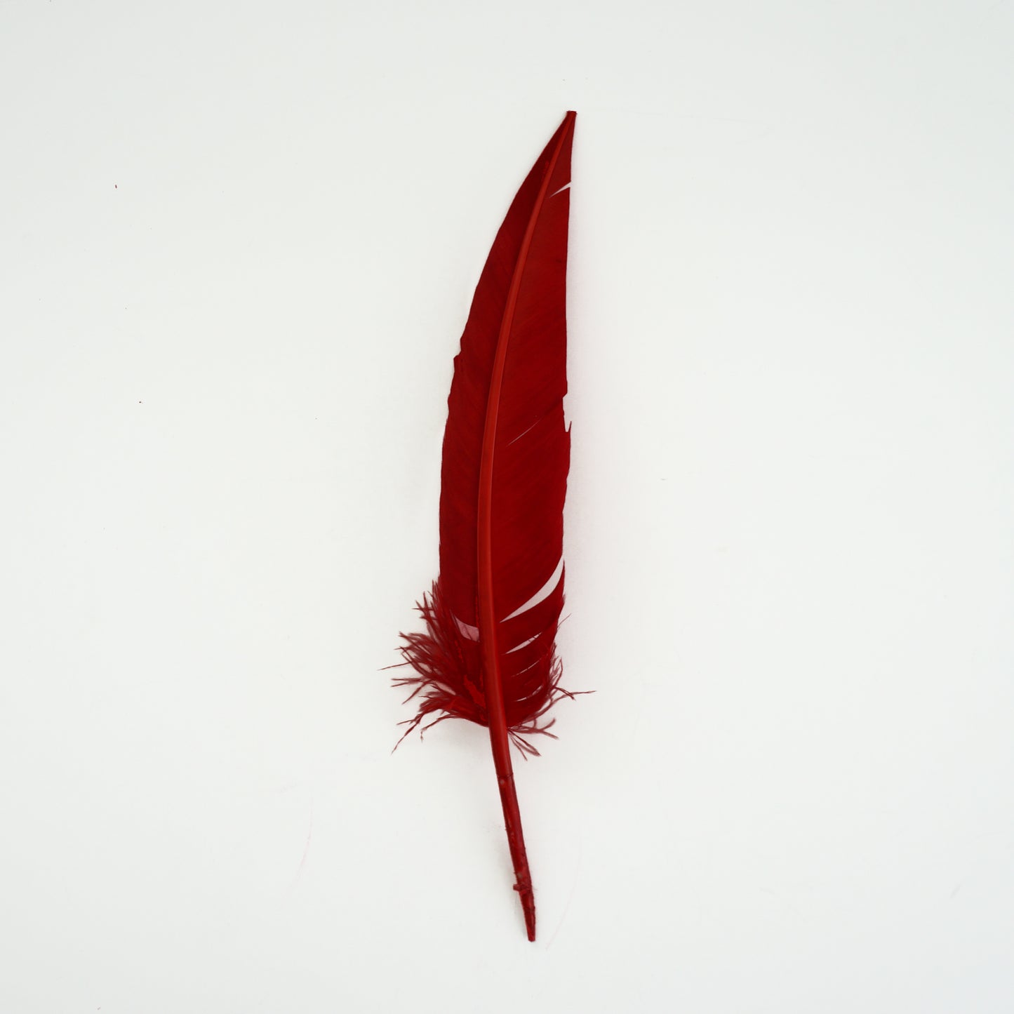 Red Dagger Turkey Quill Feathers 9-12"