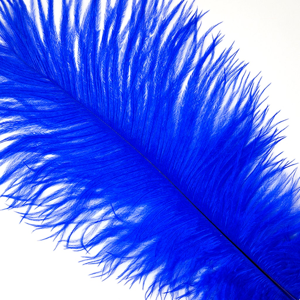 Ostrich Feathers 9-12" Drabs - Royal