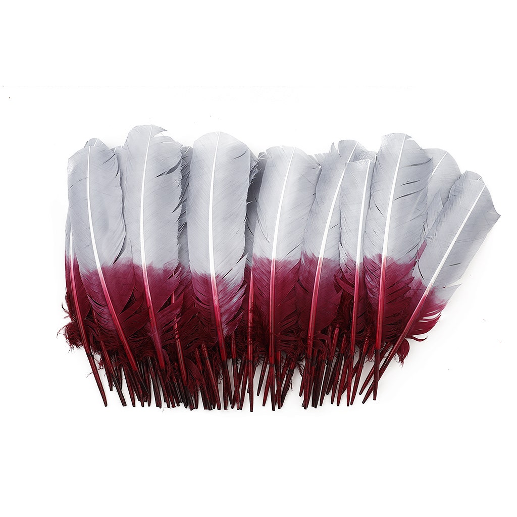 Ombre Turkey Quill Feathers 10-12" Dip .25 lb - Burgundy/ Silver