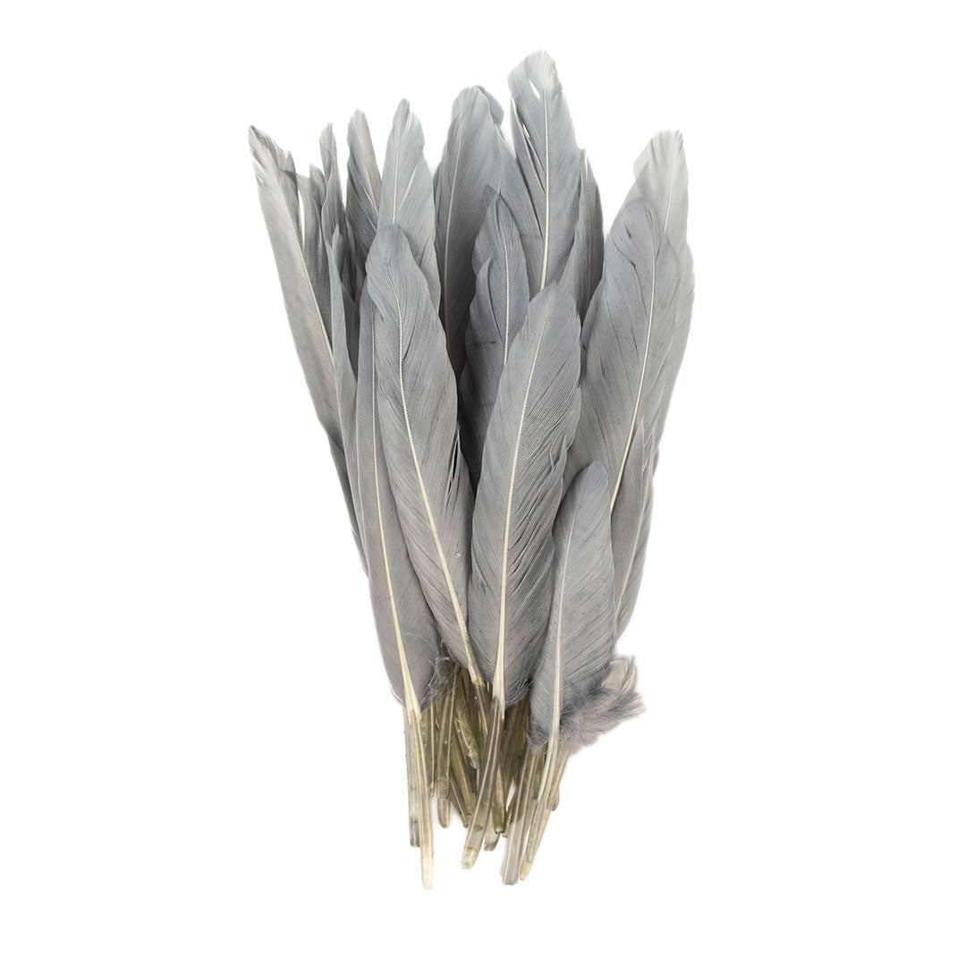 Duck Cosse Feathers - 3 - 6"-Silver