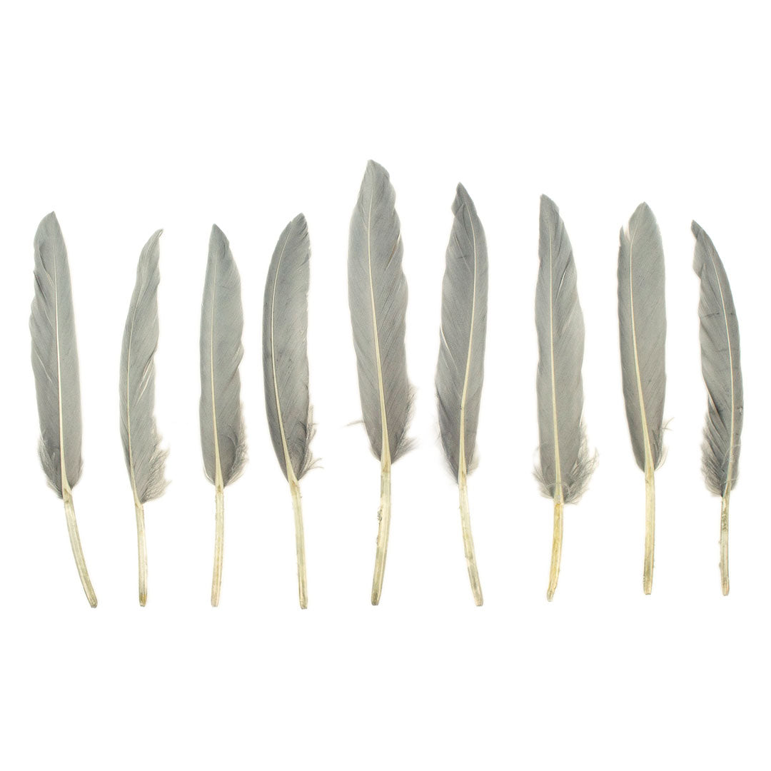 Duck Cosse Feathers - 3 - 6"-Silver