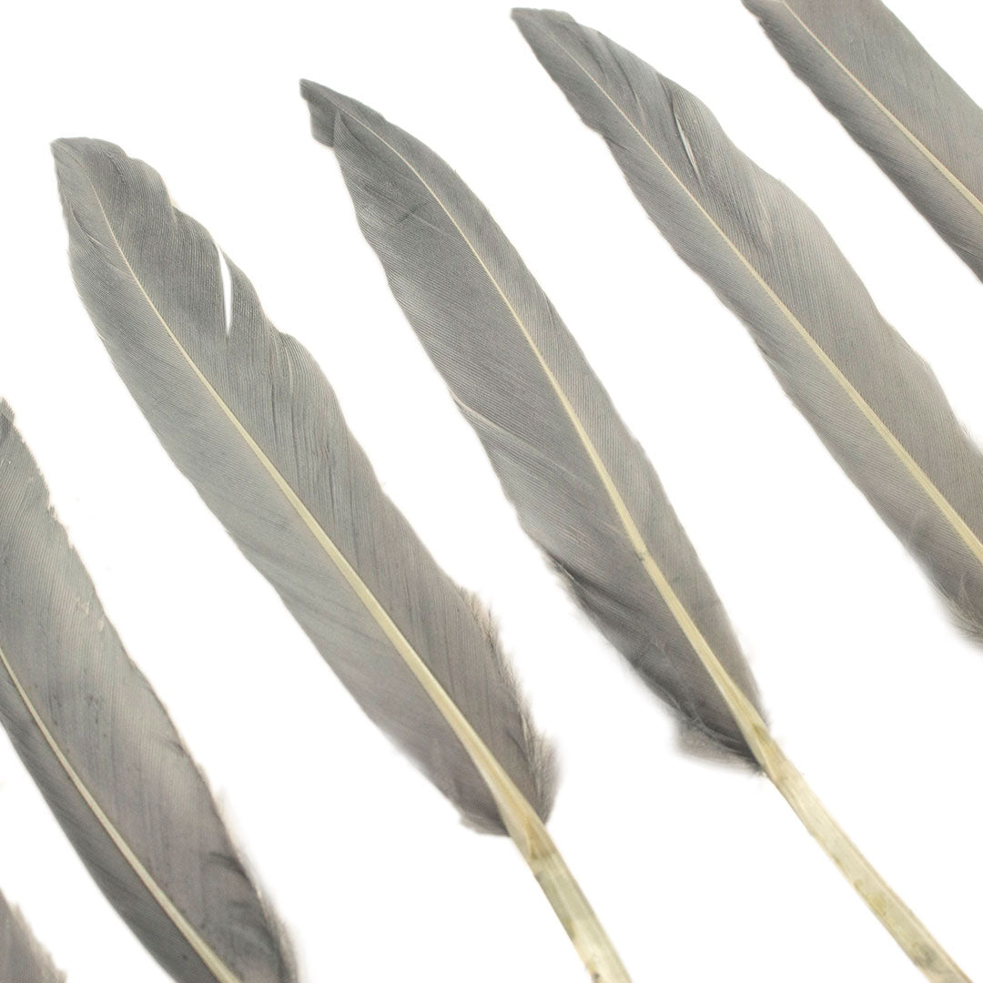 Duck Cosse Feathers - 3 - 6"-Silver