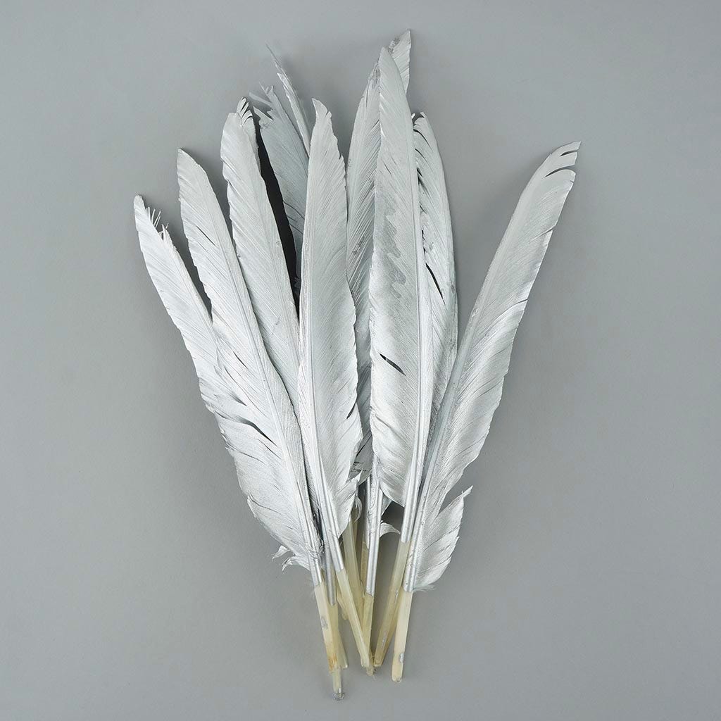 Gilded Goose Pointer Feathers - Silver