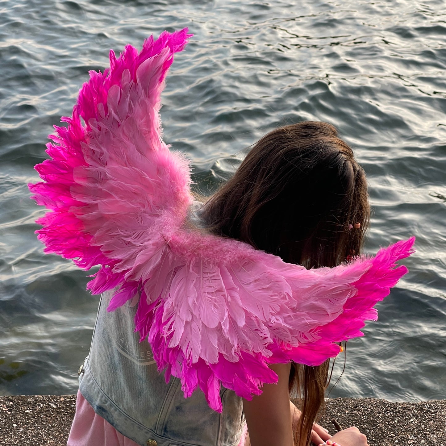 Small Two-tone Pink Wings