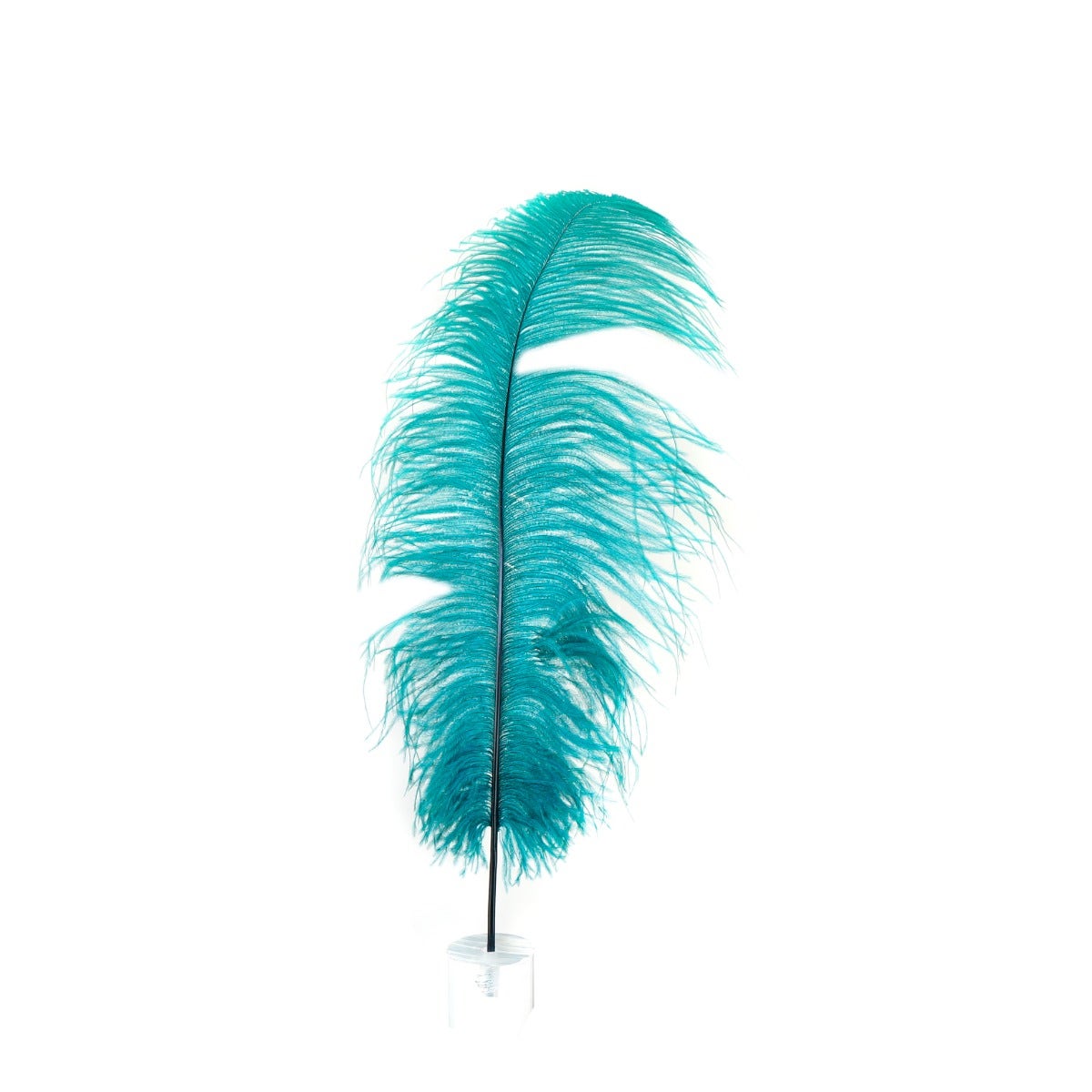 Bulk Ostrich Feathers-Damaged Drabs - Teal –  by