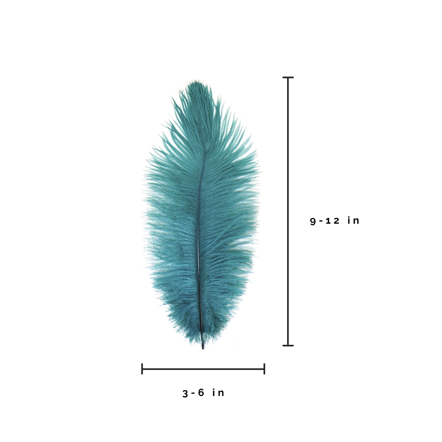 Ostrich Feathers 9-12" Drabs - Teal