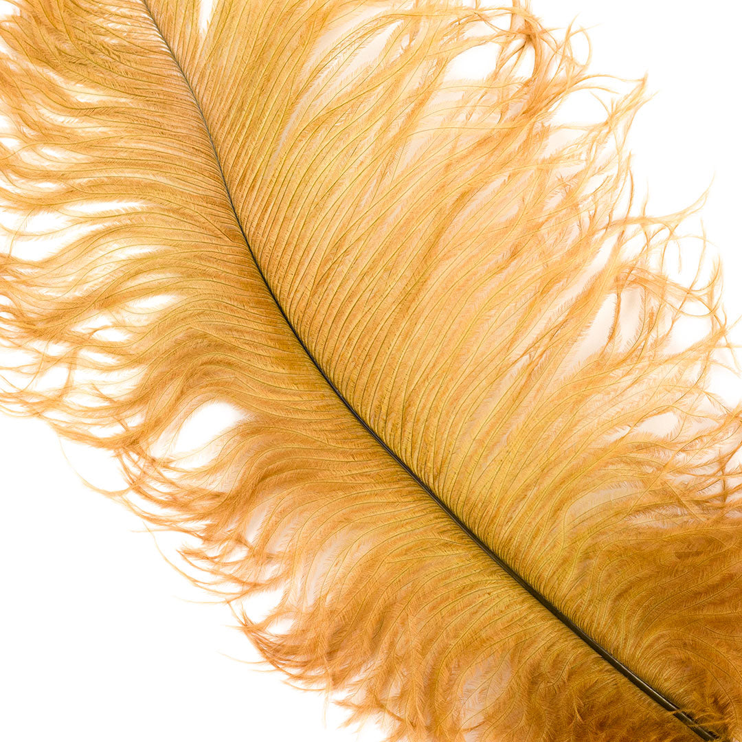 Gold Plume Goose Feathers, Feathers Clothes Gold