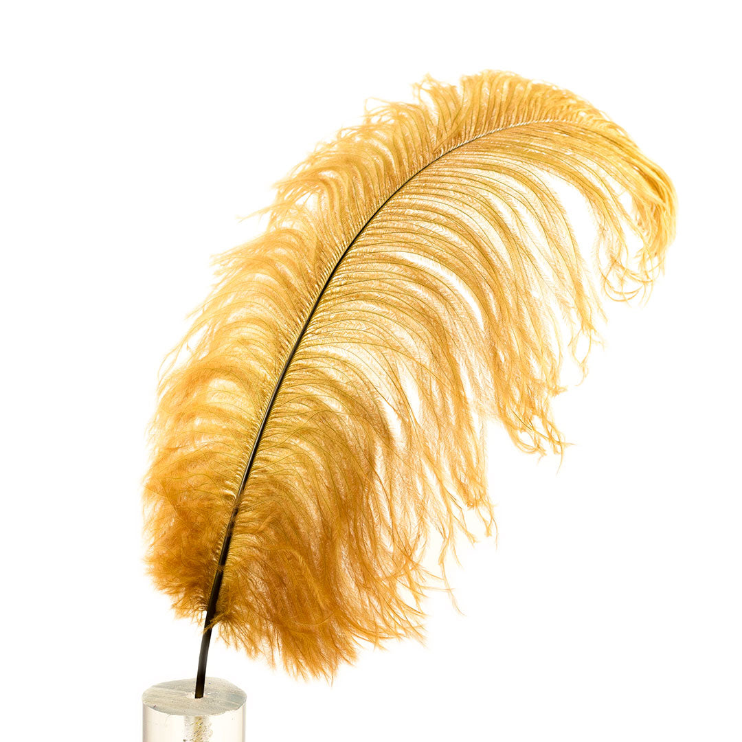 Large Ostrich Feathers - 17"+ Drabs - Toasted Almond