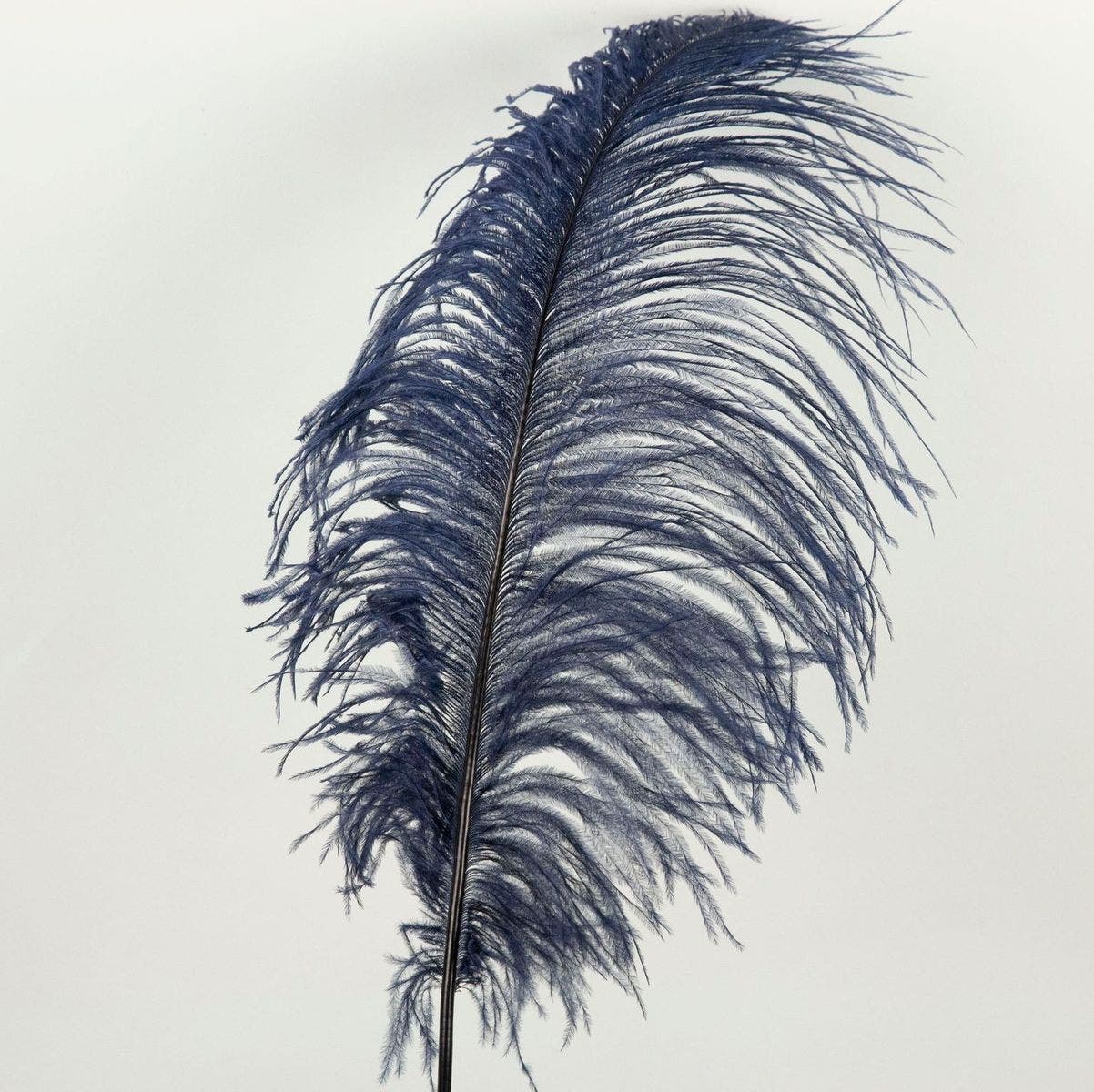 Bulk Ostrich Feathers-Damaged Femina - Dark Turquoise