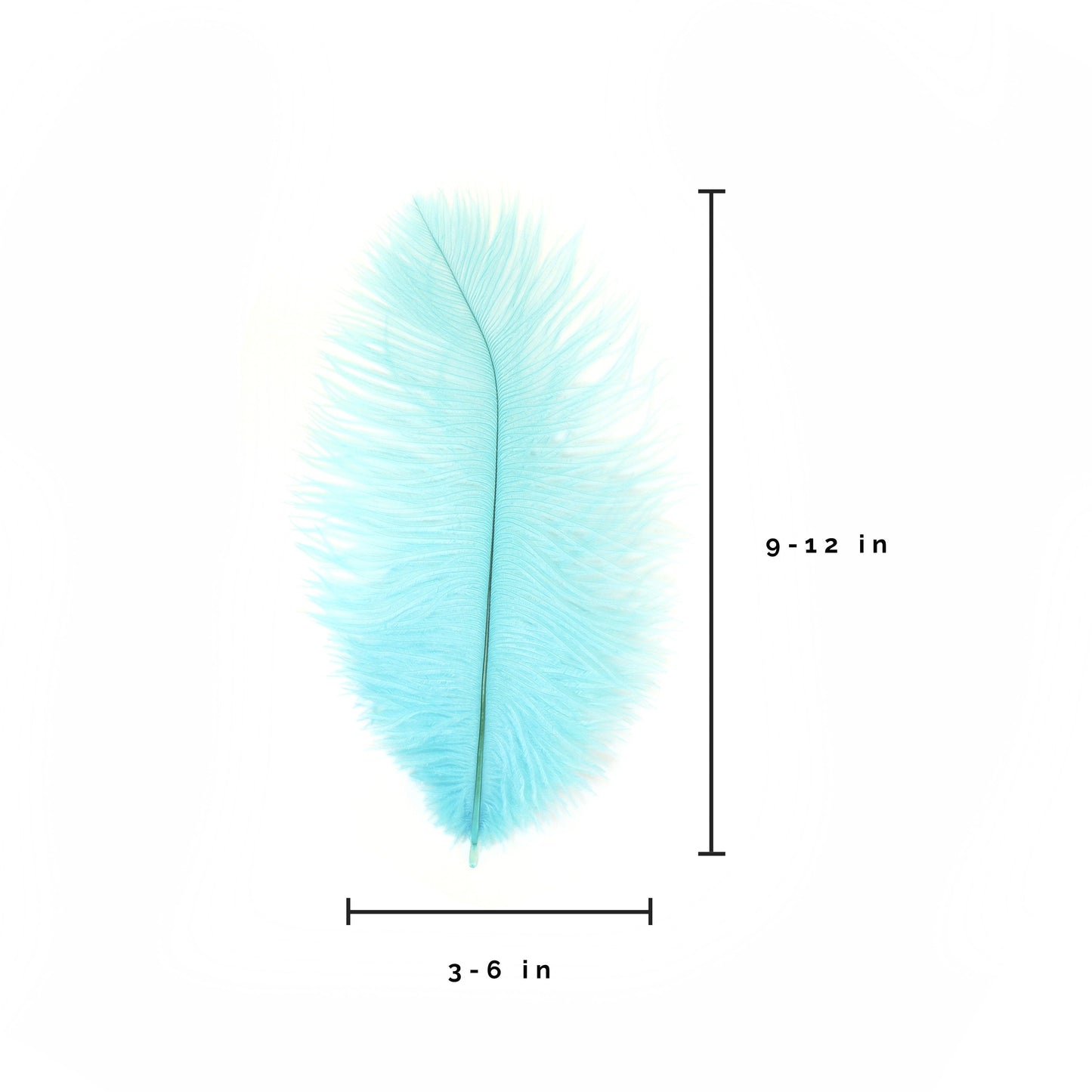 Ostrich Feathers 9-12" Drabs - Light Turquoise