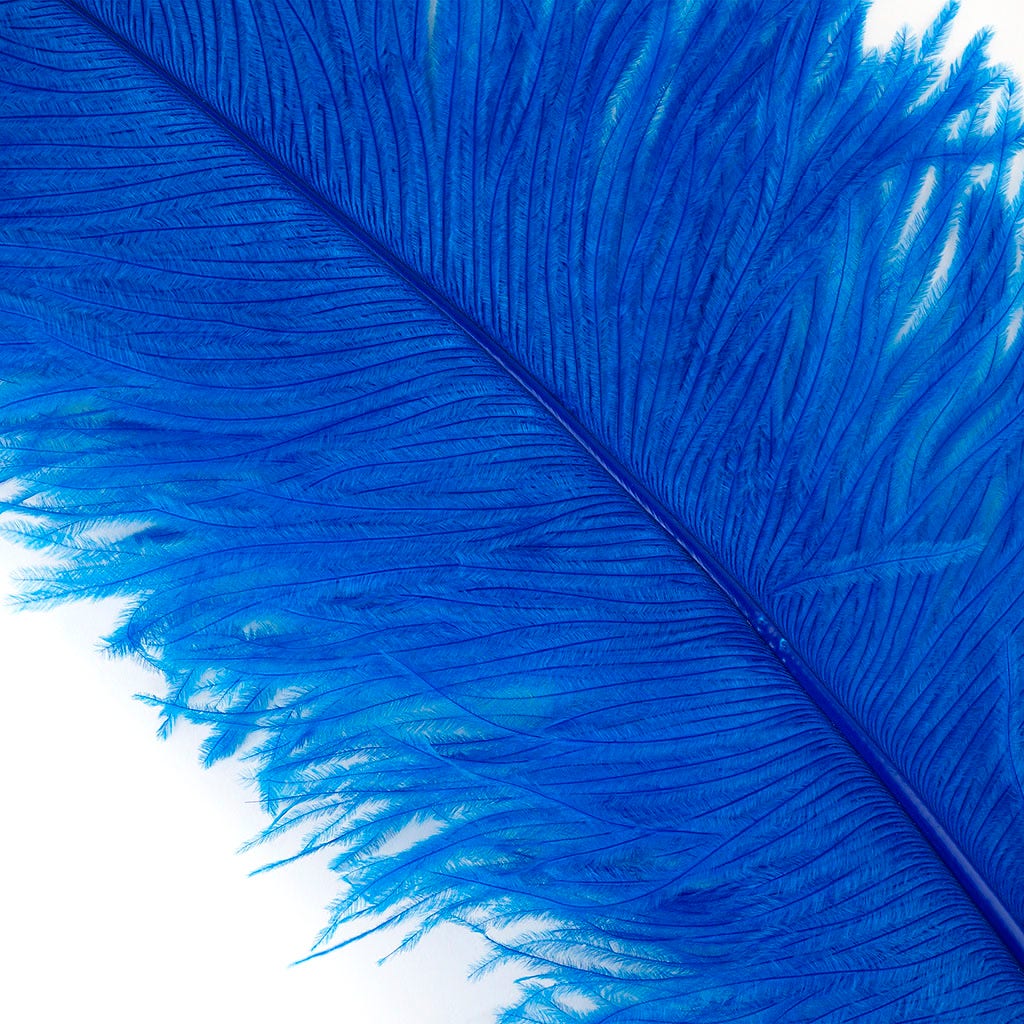Large Ostrich Feathers - 24-30" Prime Femina Plumes - Dark Turquoise