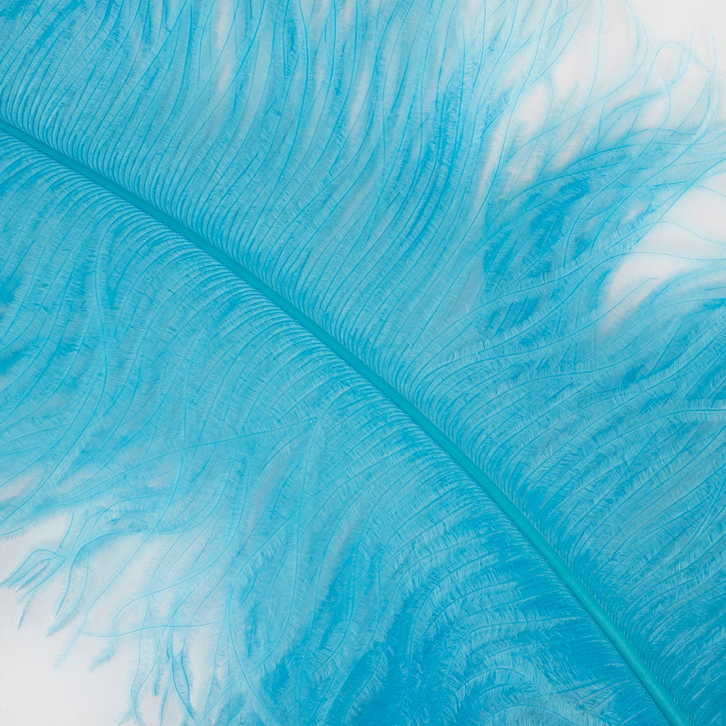 Large Ostrich Feathers - 24-30" Prime Femina Plumes - Light Turquoise