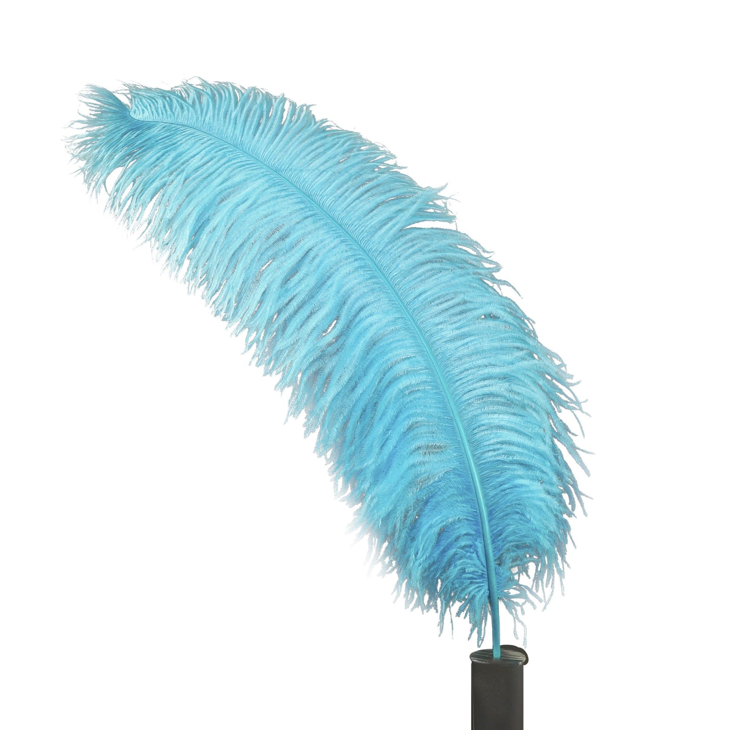 Large Ostrich Feathers - 24-30" Prime Femina Plumes - Light Turquoise