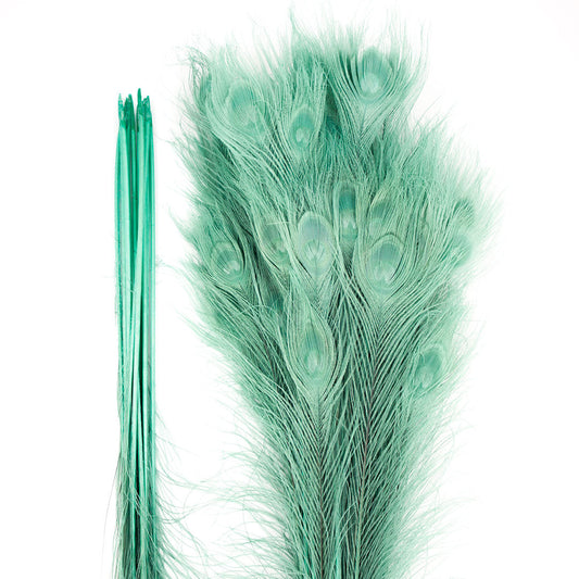 Peacock Feathers | 25-40" Tail Eyes | Light Turquoise