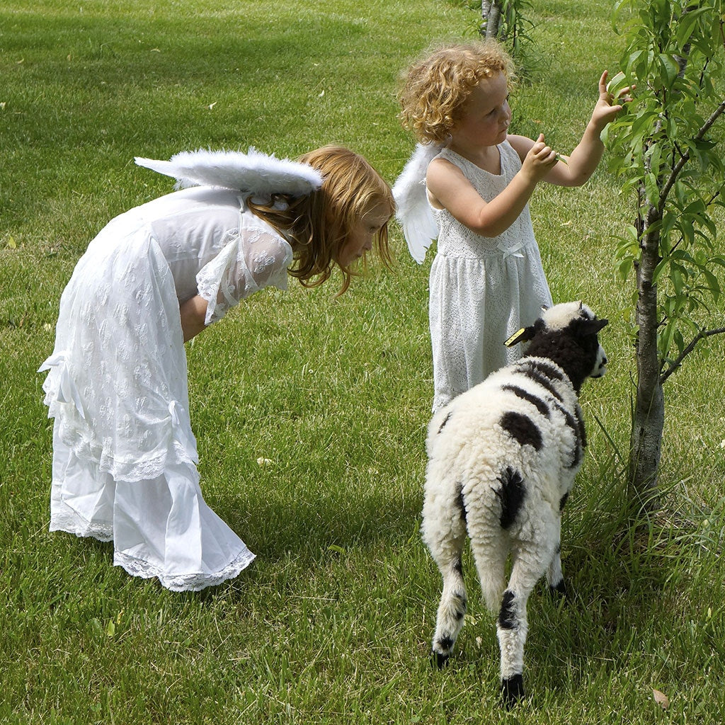 Small Angel Feather Costume Wing - Large Angel Wing Ornament