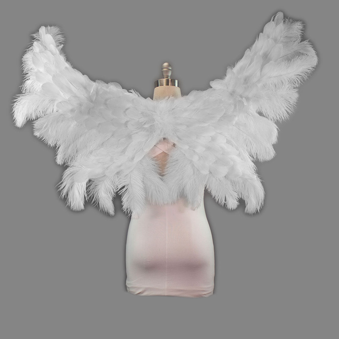 Supernatural Angel Wings