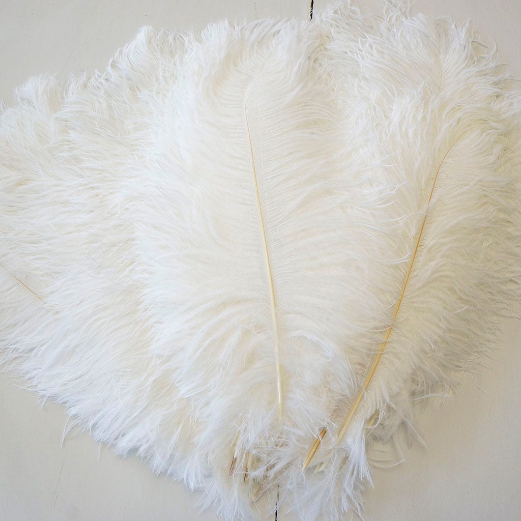 Large Ostrich Feathers - 17"+ Drabs - White