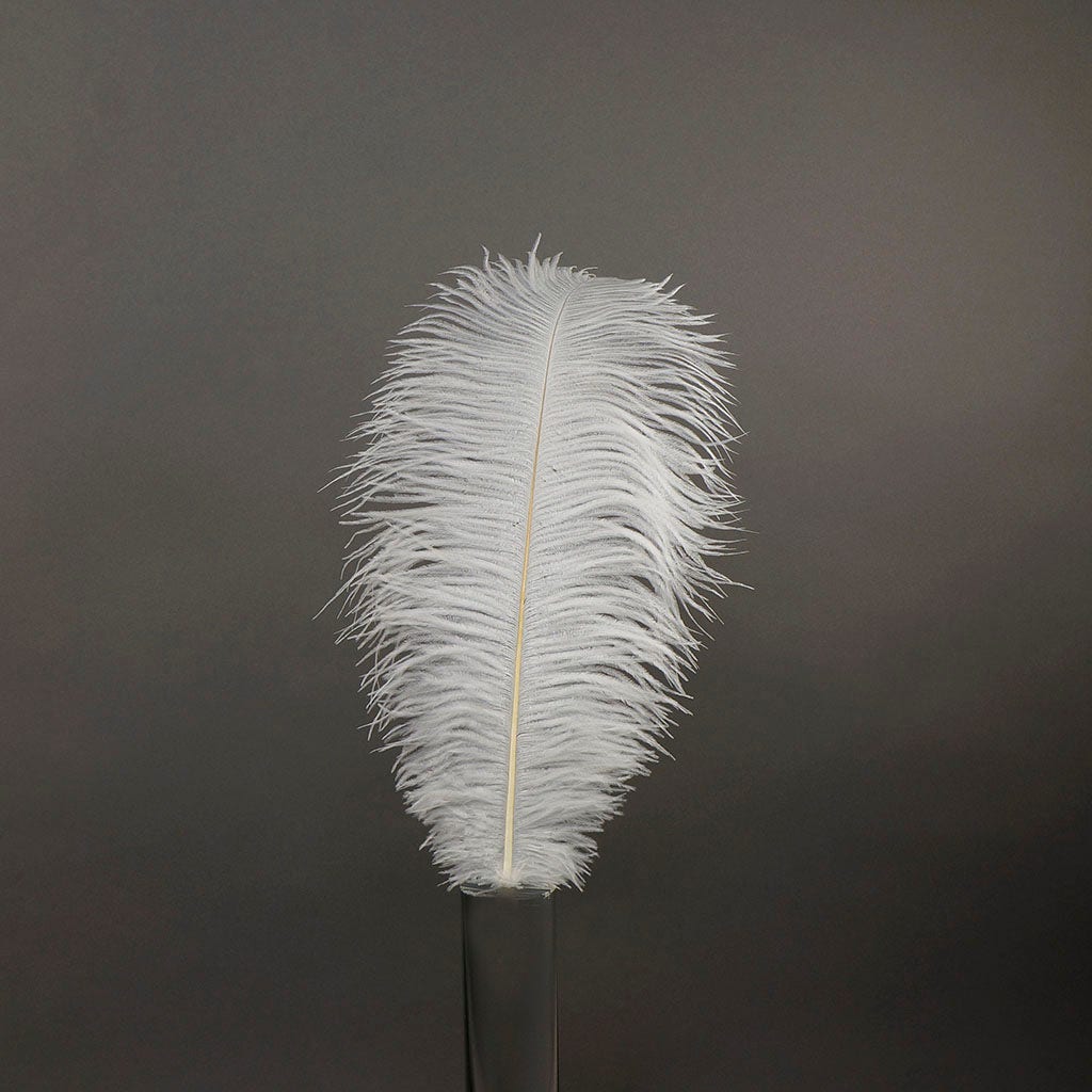 Large Ostrich Feathers - 17"+ Drabs - White